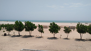 Al-Ashkharah Beach Resort