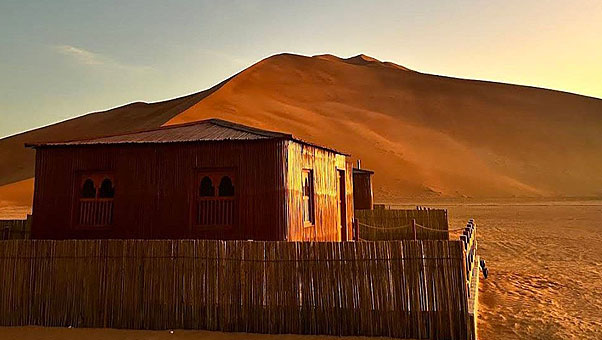 Arabian Sand Camp