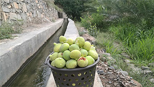 Basmat al-Misfah Guesthouse, Oman