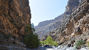 Oman